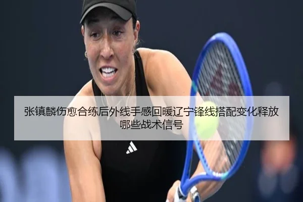 张镇麟伤愈合练后外线手感回暖辽宁锋线搭配变化释放哪些战术信号