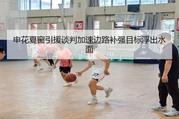 申花夏窗引援谈判加速边路补强目标浮出水面